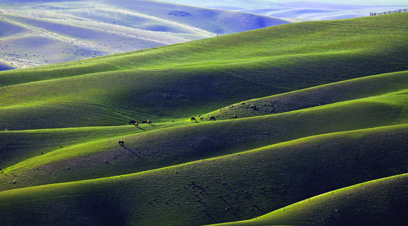 _MG_0506--..jpg