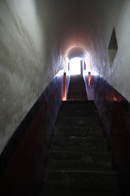 _MG_5253.JPG