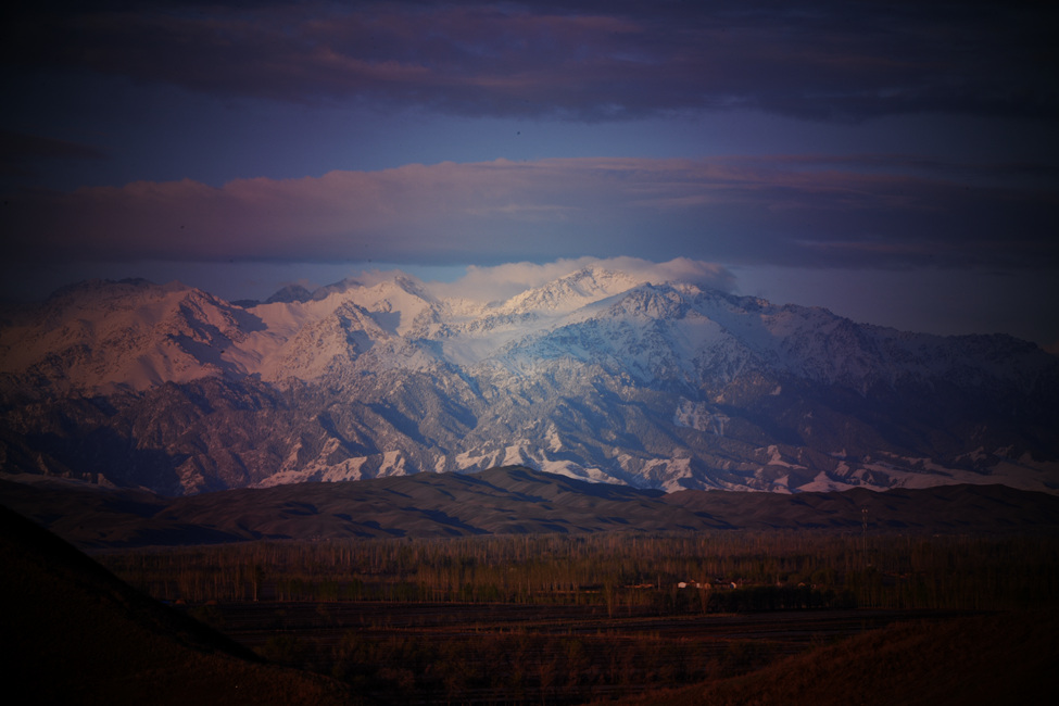 DSC_0001_.jpg