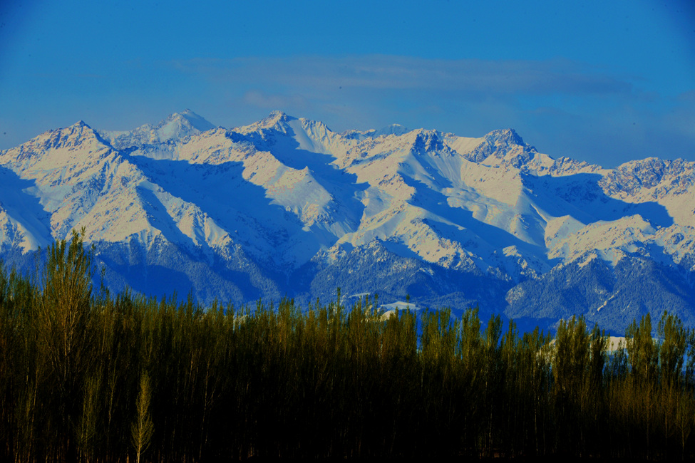 DSC_0038_.jpg