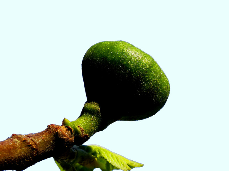 ޻-7.jpg
