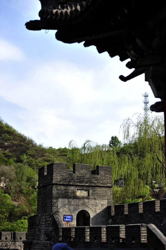 _DSC9017.jpg
