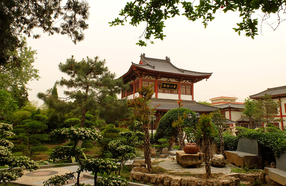 DSCF2308.JPG