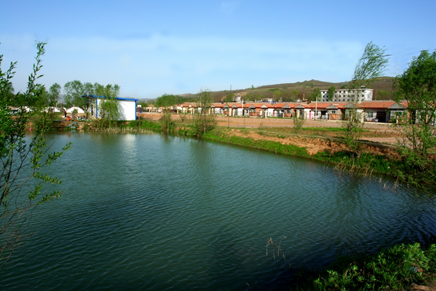 DSC03940___.jpg