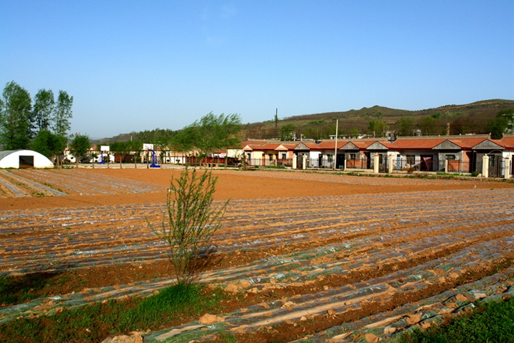 DSC03949__.jpg