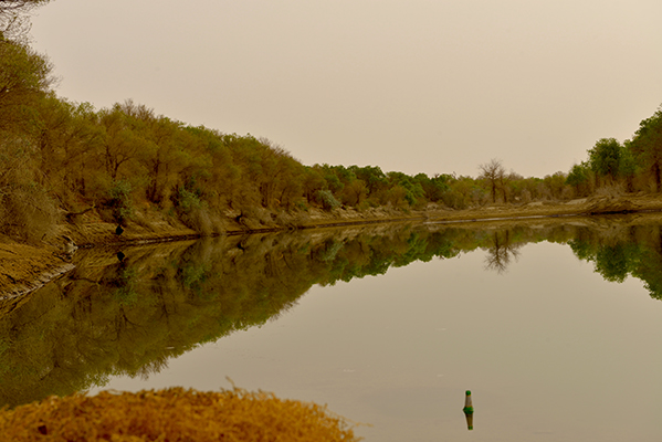 DSC_0095.JPG