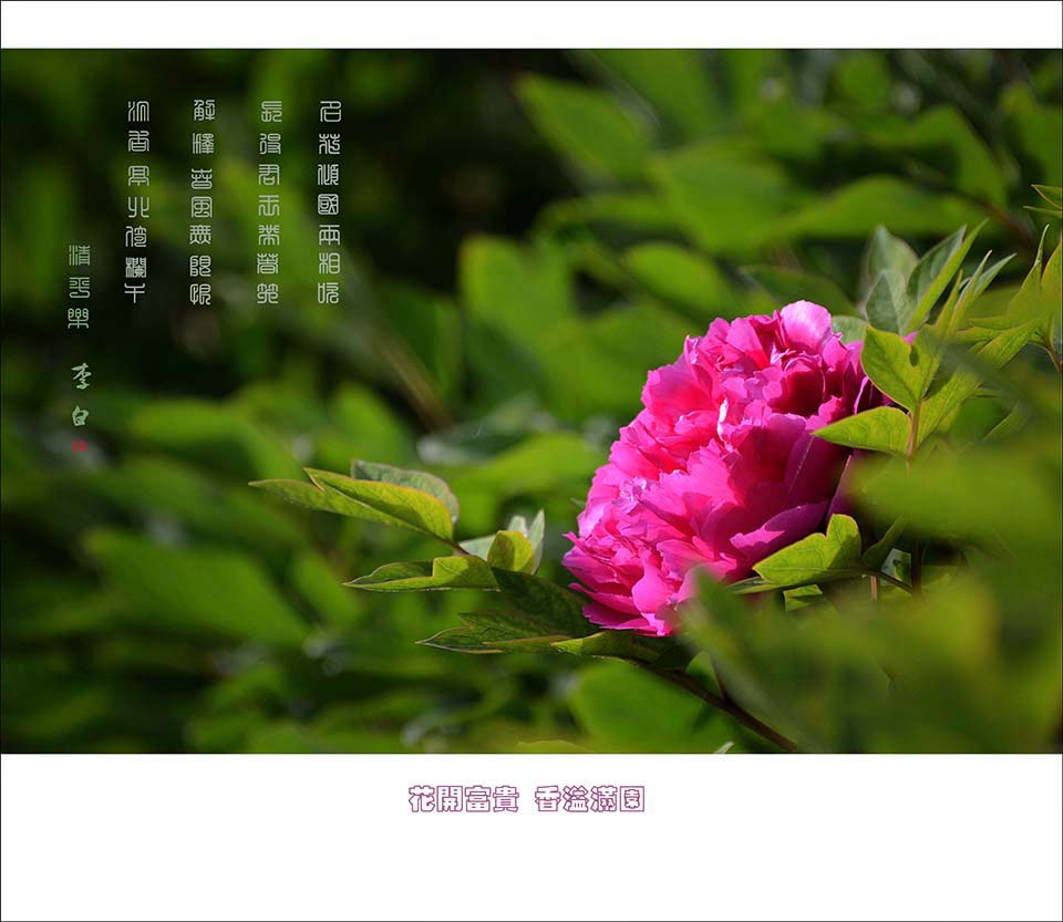 DSC_2680.jpg