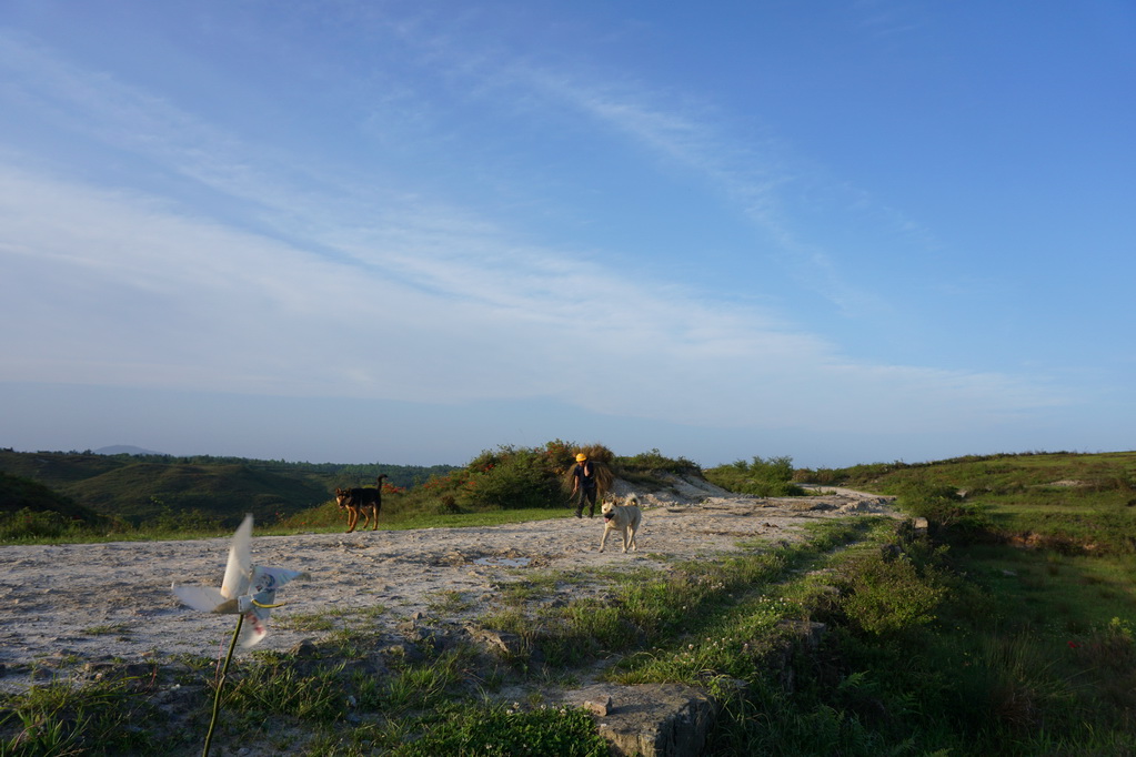 DSC01117.JPG