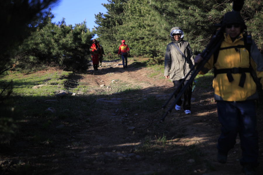 _MG_5627.JPG