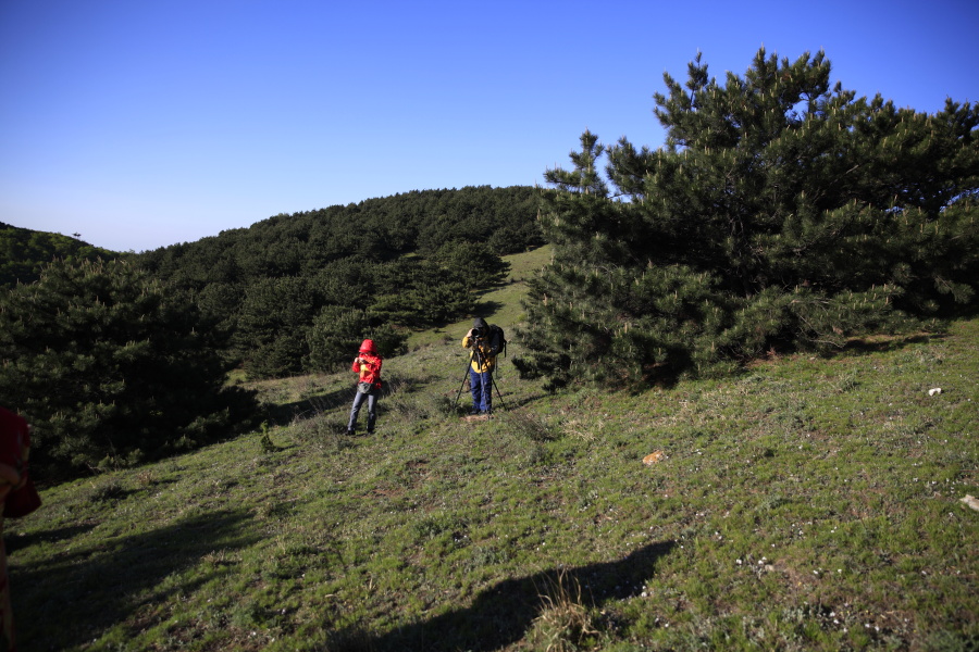 _MG_5631.JPG