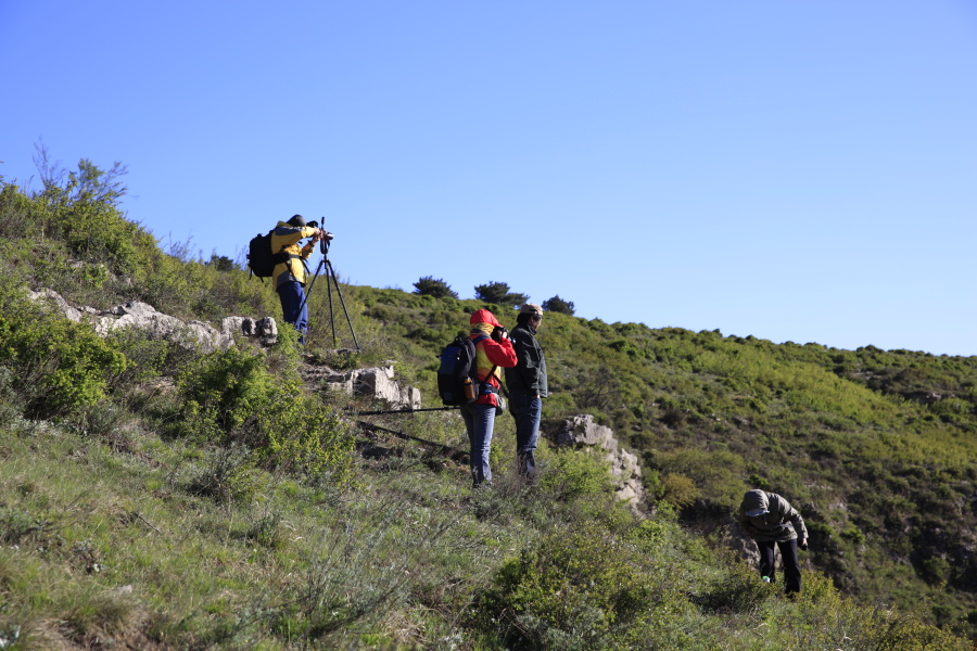 _MG_5658.JPG