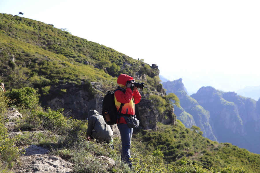 _MG_5660.JPG