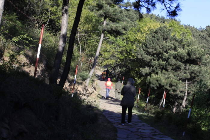 _MG_0984.JPG