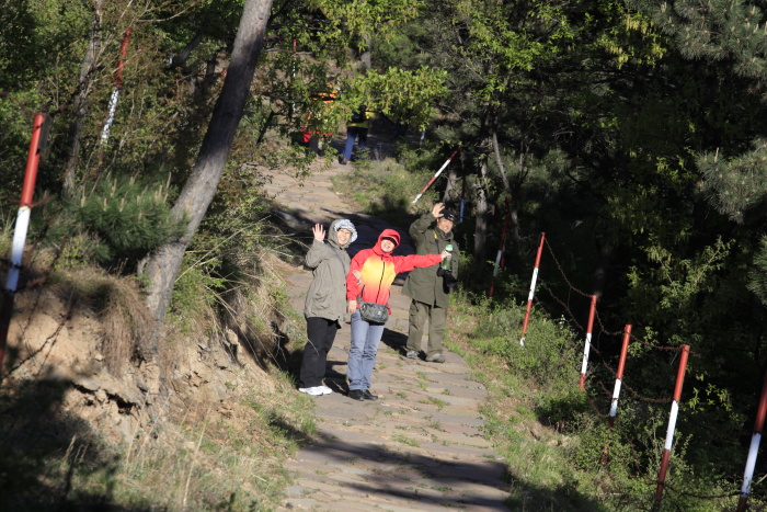 _MG_0986.JPG