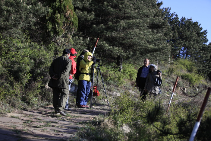 _MG_0987.JPG