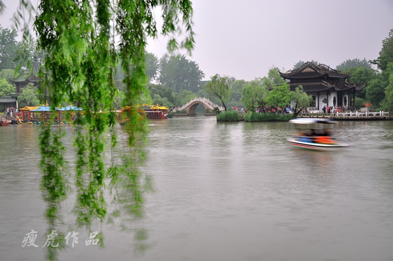 DSC_7090-nx-xc1.jpg