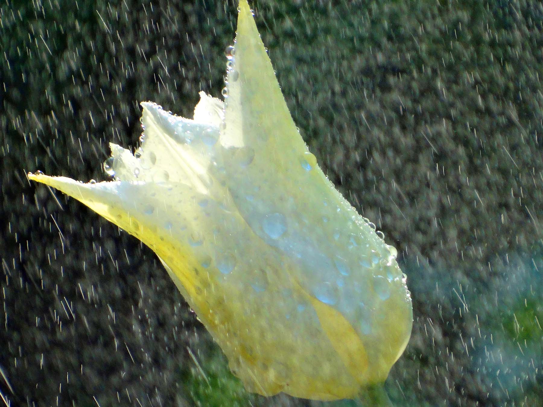 DSC00101_.jpg