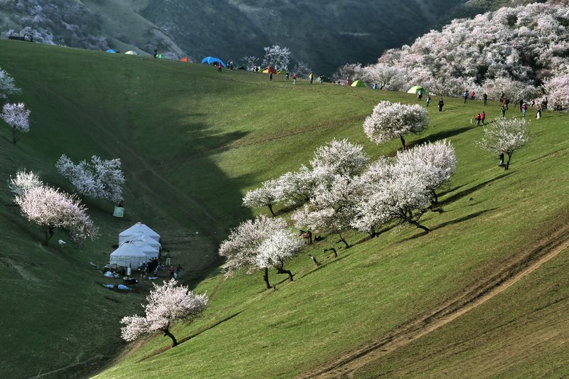 ӻ֮