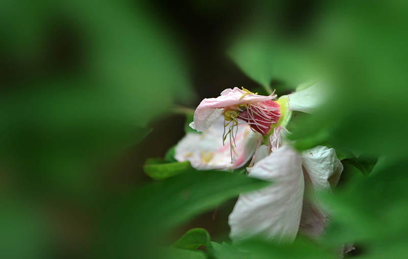 _SC_9632.JPG
