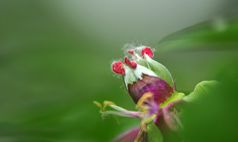 _SC_9657.JPG