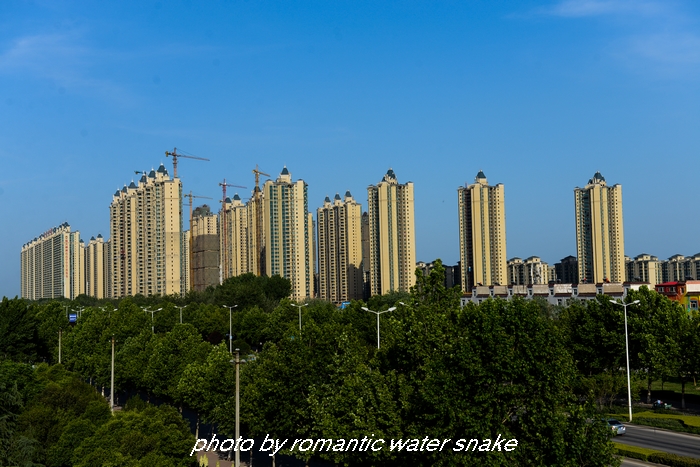 DSC_4386.jpg
