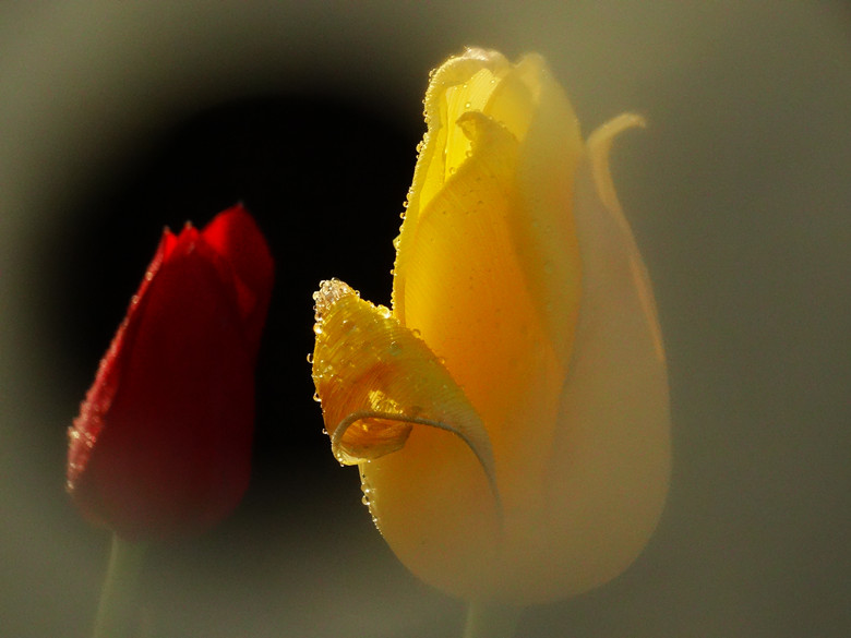 DSC02082_.jpg