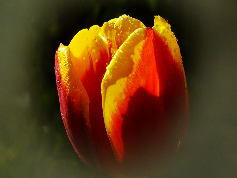 DSC02087_.jpg