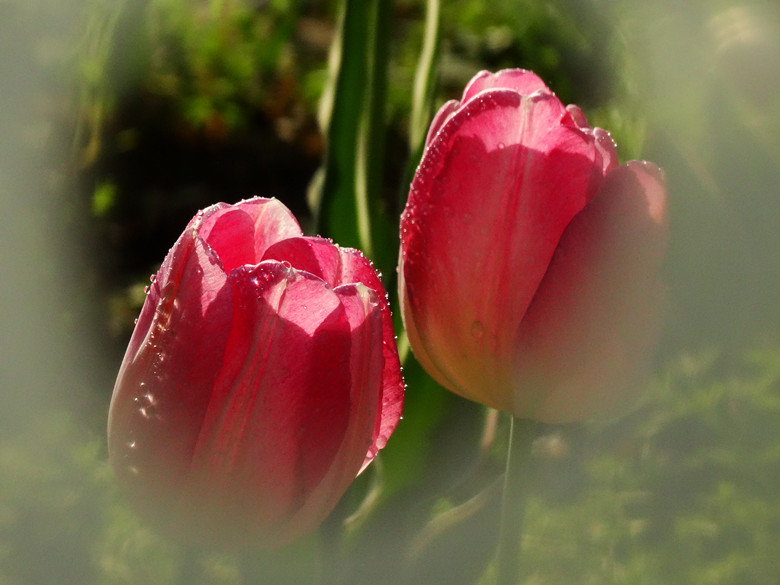 DSC02092_.jpg