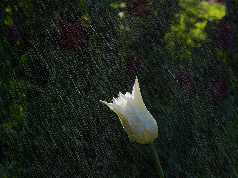 DSC02106_.jpg
