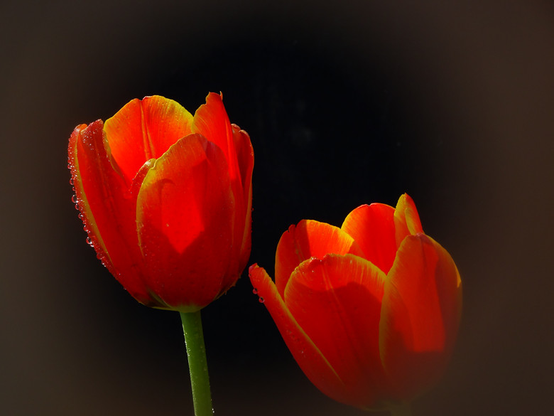 DSC02164_.jpg