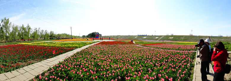 DSC02193_.jpg