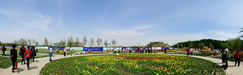 DSC02299_.jpg