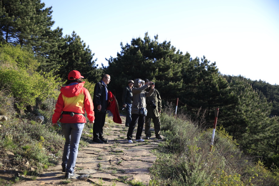_MG_5624.JPG