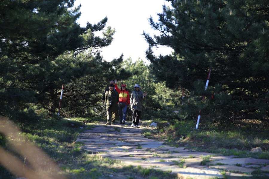 _MG_5626.JPG