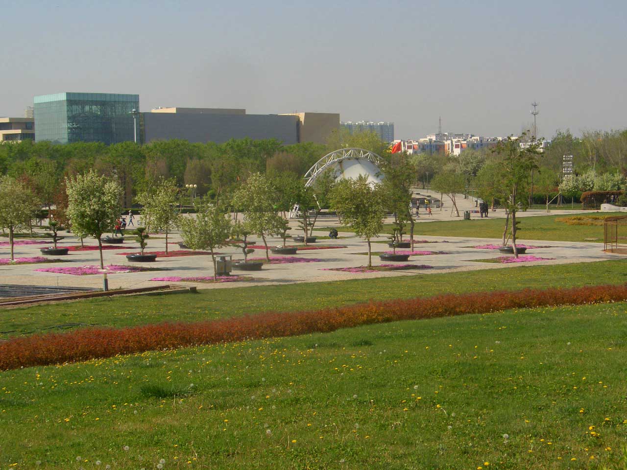 CIMG4374 .jpg