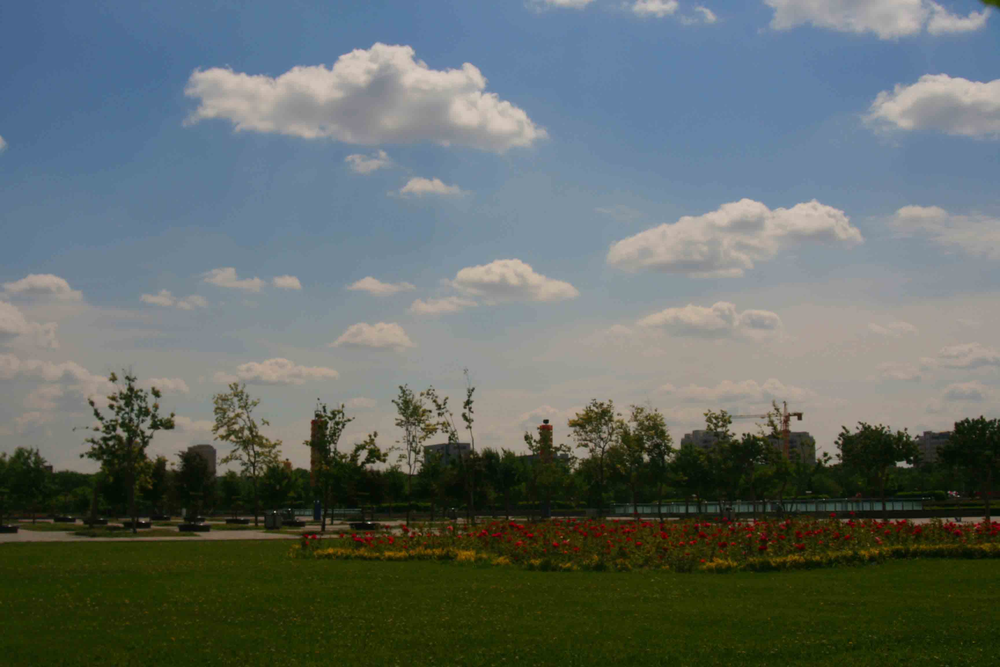 IMG_94170 .jpg