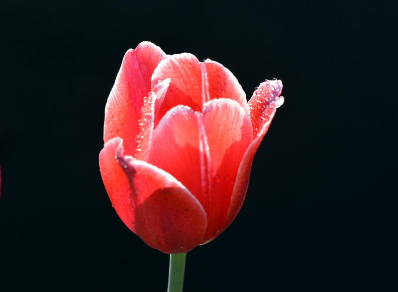һ   