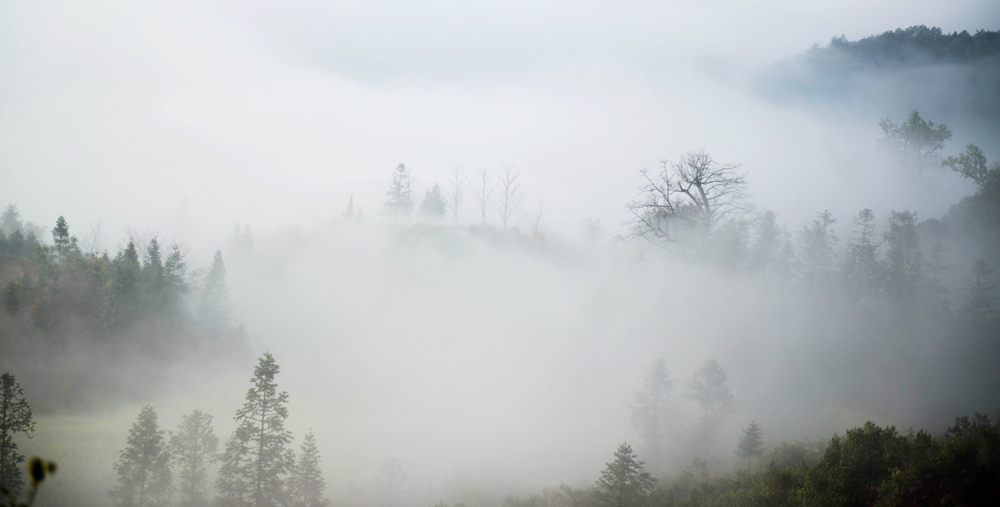 DSC_3582__.jpg