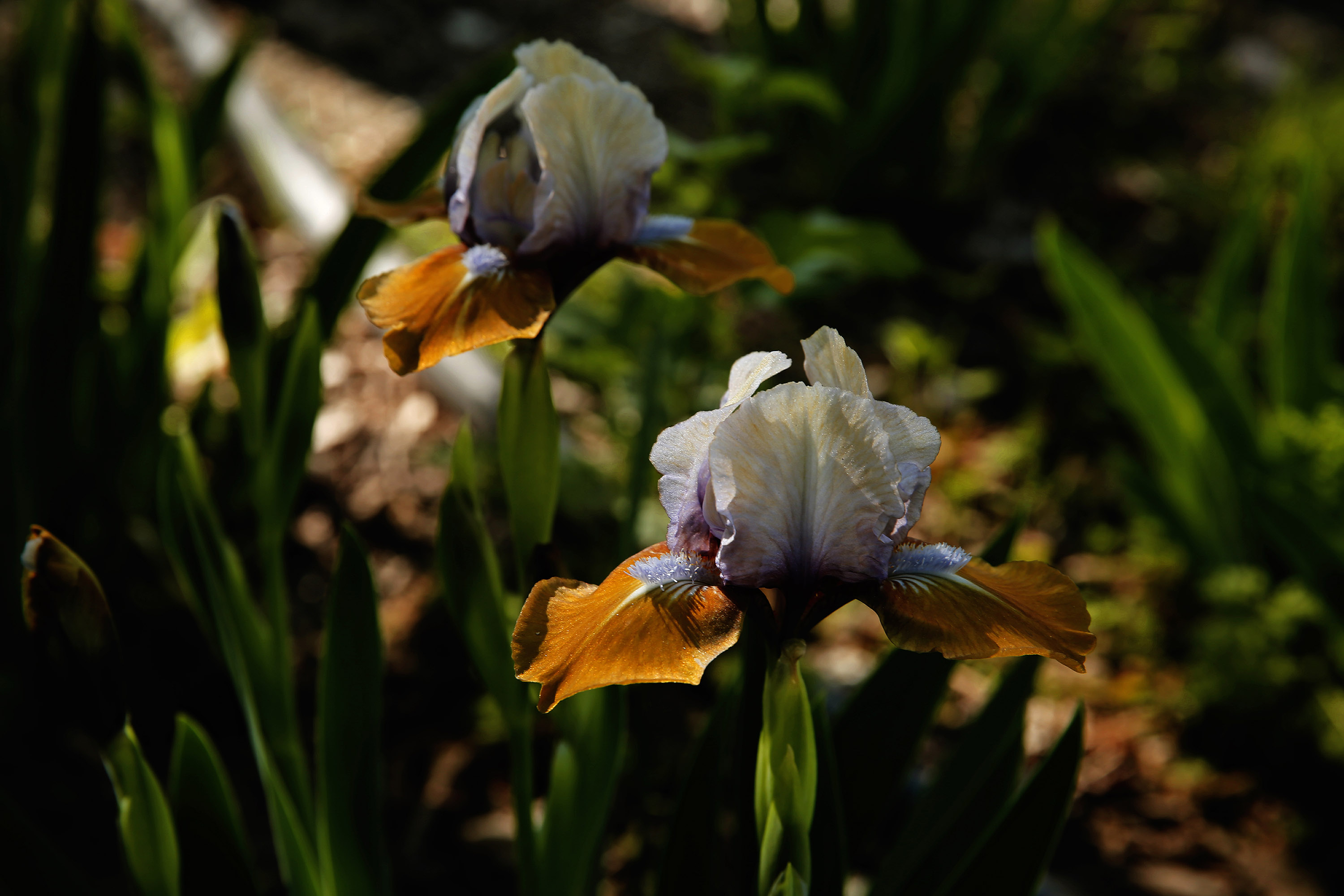 _H6A58311.jpg