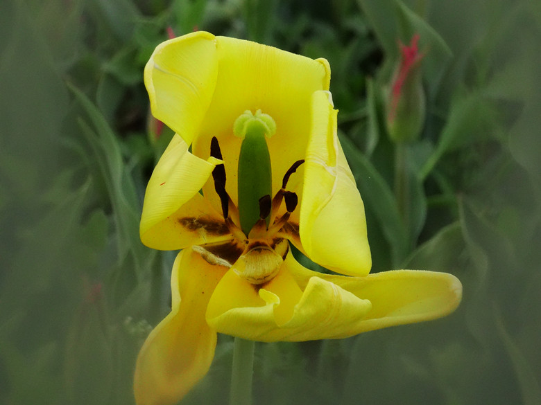 DSC02056_.jpg