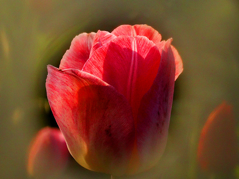 DSC02076_.jpg