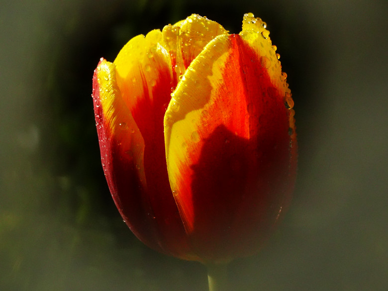 DSC02088_.jpg
