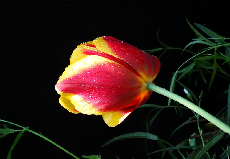 DSC02096_.jpg