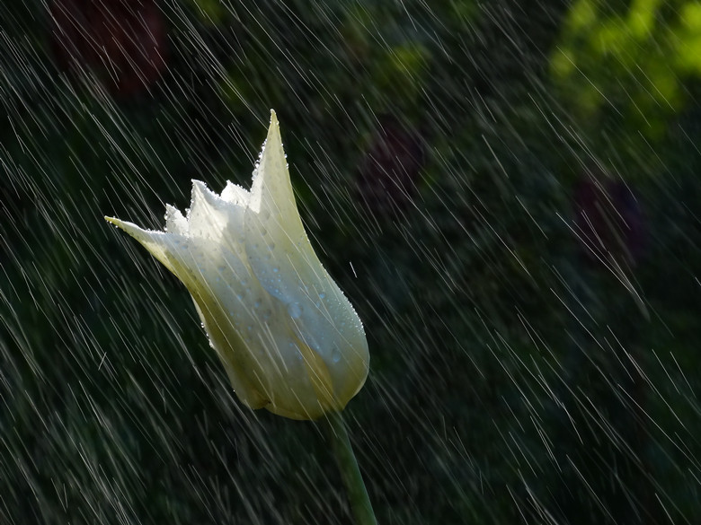 DSC02102_.jpg