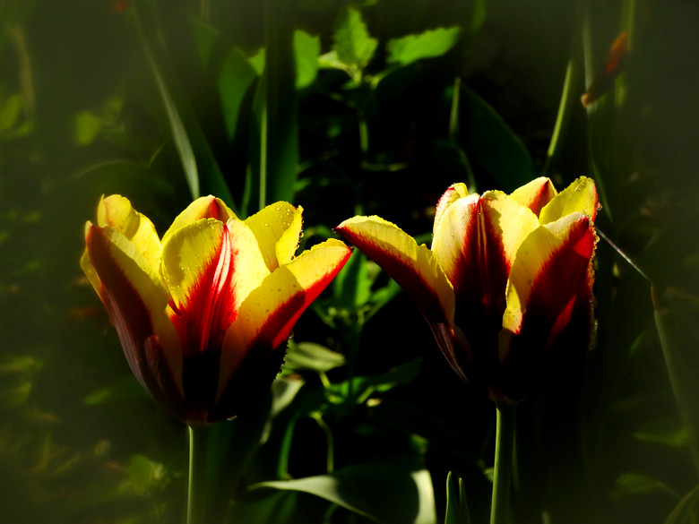 DSC02116_.jpg