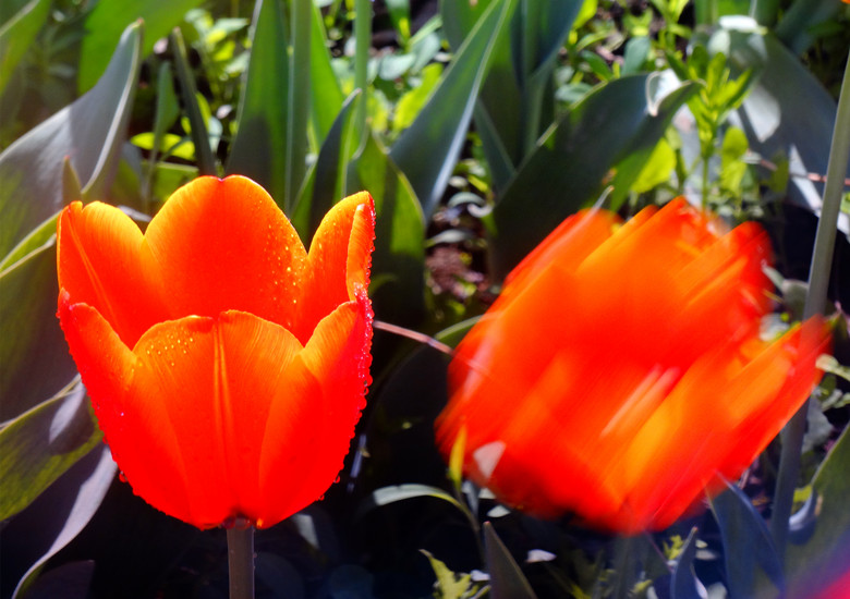 DSC02207_.jpg