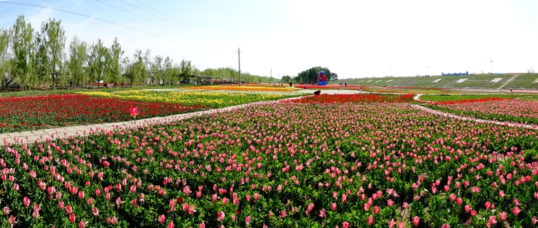 DSC02186_.jpg