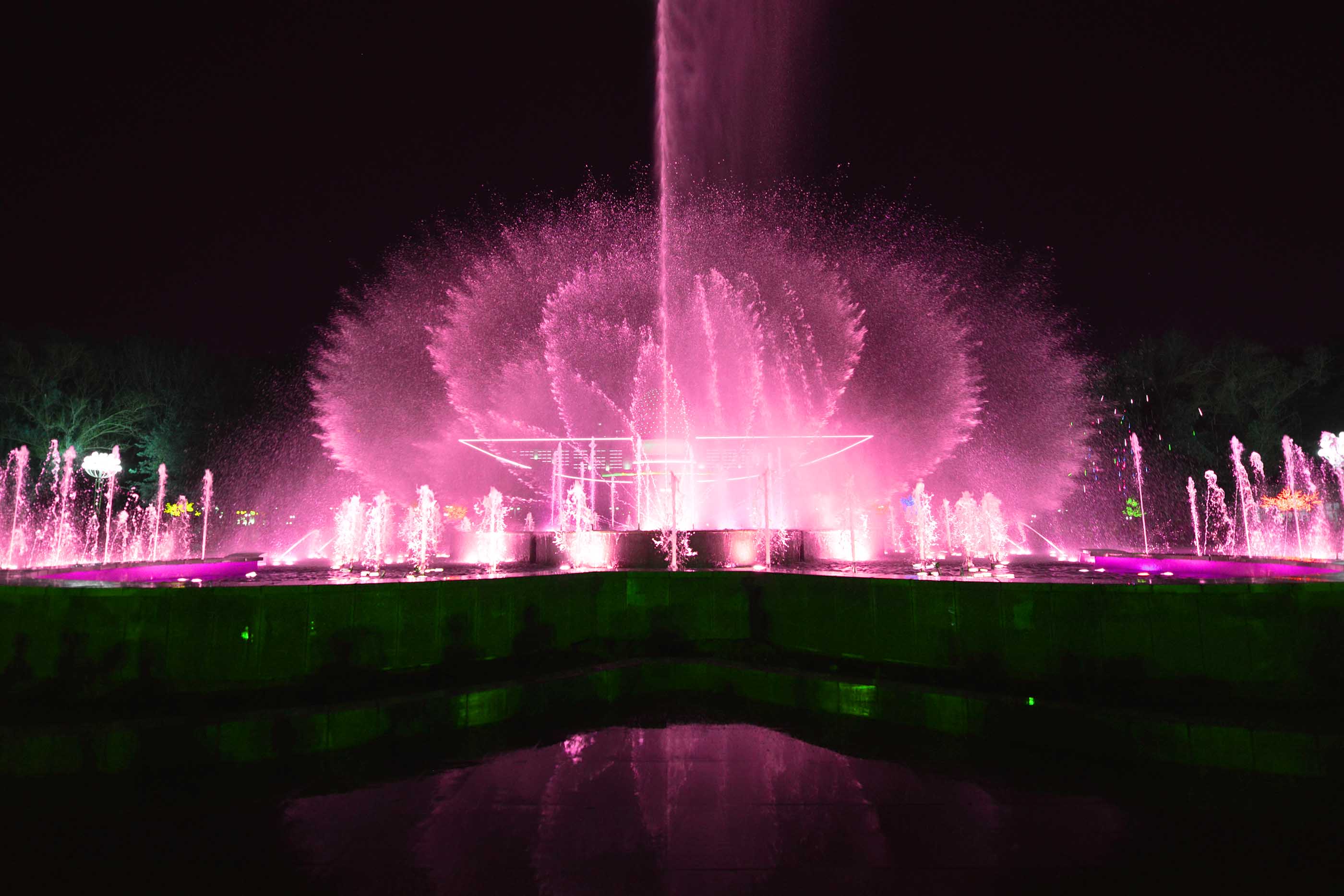 _DSC9933.jpg