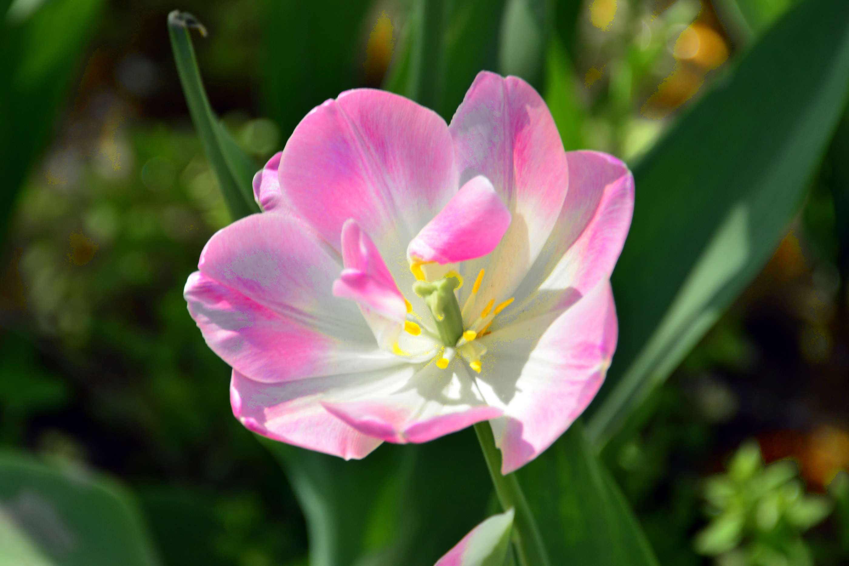 _԰һDSC9546 (191).jpg
