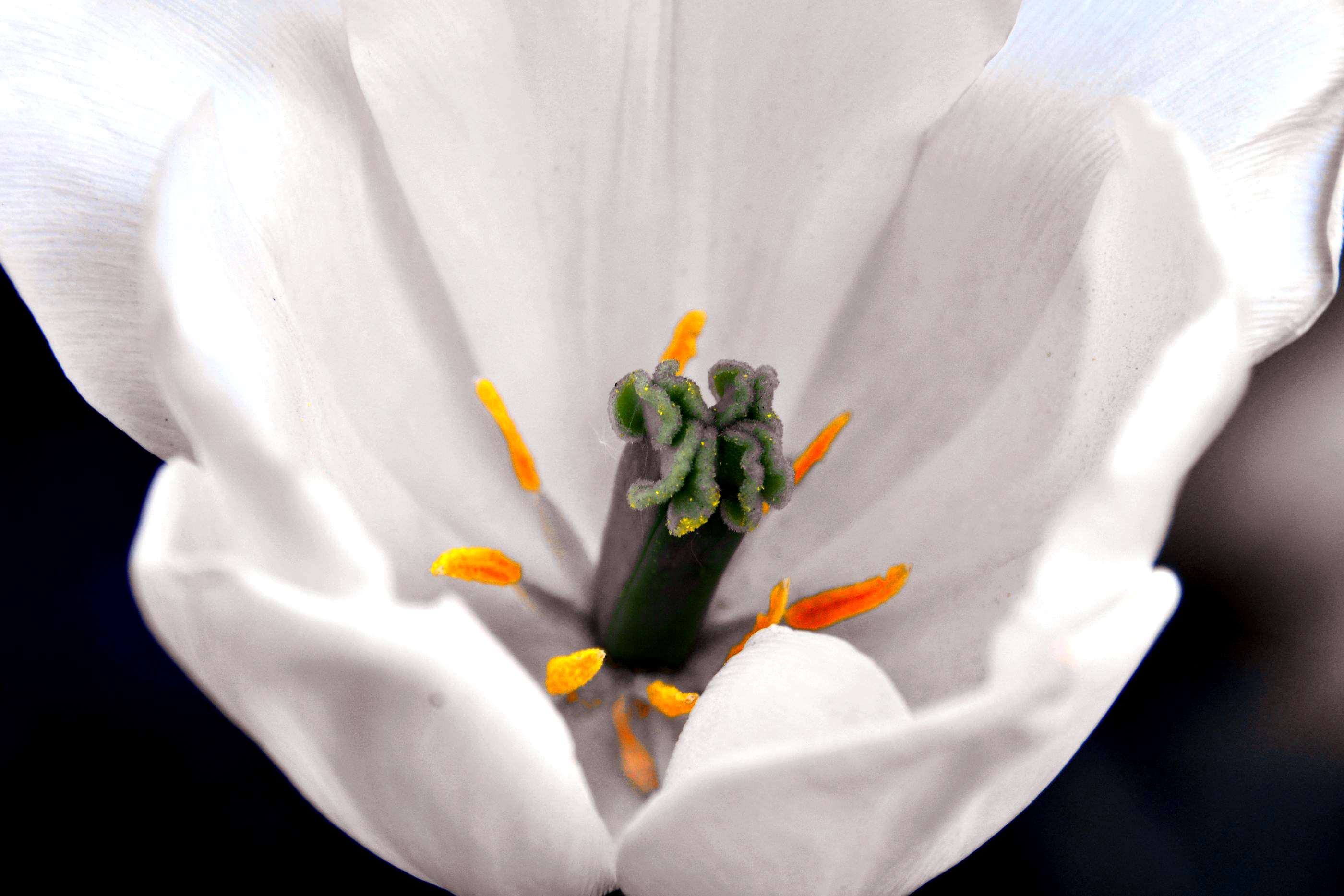 _԰һDSC9546 (198).jpg